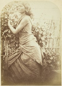 Woman, Ceylon by Julia Margaret Cameron