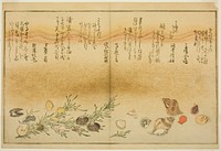 Beni-gai, hora-gai, urauzu-gai, wasure-gai, chiyonohana-gai, and masuho-gai, from the illustrated book "Gifts from the Ebb Tide (Shiohi no tsuto)" by Kitagawa Utamaro