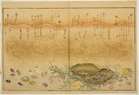 Chidori-gai, itaya-gai, awabi, utsuse-gai, asari-gai, and monoara-gai, from the illustrated book "Gifts from the Ebb Tide (Shiohi no tsuto)" by Kitagawa Utamaro