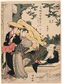 Ushi-no-gozen, from the series "Famous Places of Edo (Edo meisho)" by Torii Kiyonaga