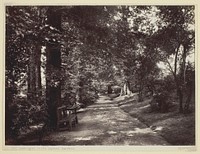 Leamington, in the Jephson Gardens by Francis Bedford