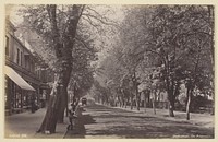 Cheltenham, the Promenade by Francis Bedford