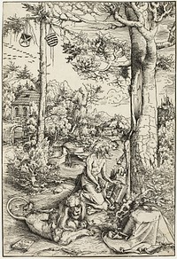 Saint Jerome in Penitence by Lucas Cranach, the Elder