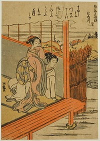 Tamashima River in Hizen Province (Tamashimagawa, Hizen), from the series "Fashionable Mirrors of Famous Places (Furyu meisho kagami)" by Isoda Koryusai