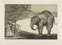 Animal Folly, from Disparates by Francisco José de Goya y Lucientes