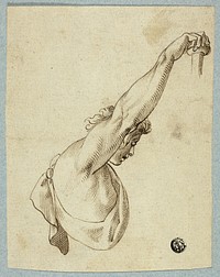 Upper Torso with Upstretched Arms by Unknown artist