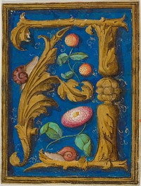 Snails, Strawberries and a Flower in a Decorated Initial "A" from a Manuscript