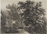 Rustic Bridge in a Tangled Wood by Carl Wilhelm Kolbe, the elder