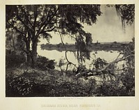Savannah River, near Savannah, GA by George N. Barnard