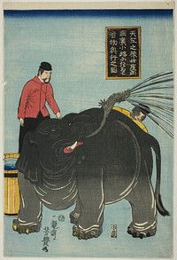 Illustration of Elephant from India On Display at Hirokoji in Ryogoku (Tenjiku no zo kotabi Ryogoku Hirokoji ni oite misemono kogyo no zu) by Utagawa Yoshitoyo