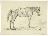 Standing Horse by Unknown artist