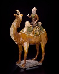 Camel and Rider