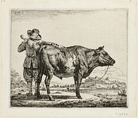 The Cowherd and the Bull by Adriaen van de Velde
