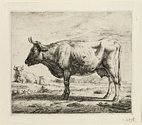 Two Cows and a Sheep by Adriaen van de Velde