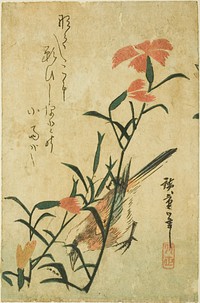 Bird and wild carnation by Utagawa Hiroshige