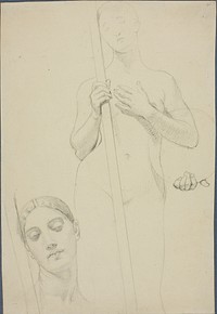Study by Jean Auguste Dominique Ingres