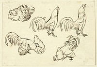 Sketches of Poultry by Henry Stacy Marks