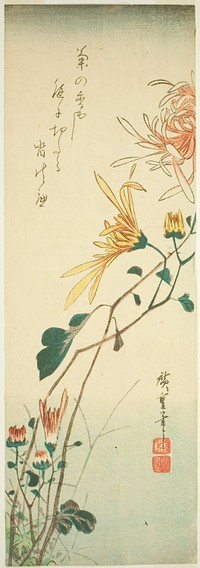 Chrysanthemums by Utagawa Hiroshige