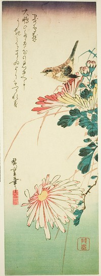 Bird and chrysanthemums by Utagawa Hiroshige
