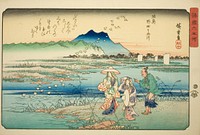 The Noda Jewel River in Mutsu Province (Mutsu Noda no Tamagawa), from the series "Six Jewel Rivers in Various Provinces (Shokoku Mu Tamagawa)" by Utagawa Hiroshige
