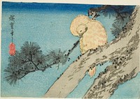 Owl on pine branch by Utagawa Hiroshige