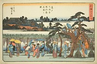 Wisteria in Full Bloom in the Precincts of the Kameido Tenmangu Shrine (Kameido Tenmangu keidai fuji hanazakari no zu), from the series "Newly Selected Famous Places in Edo (Shinsen Edo meisho)" by Utagawa Hiroshige