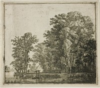 Woods Near a Canal by Simon de Vlieger