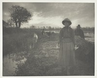 Poling the Marsh Hay by Peter Henry Emerson