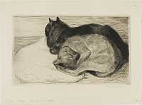 Two Cats on a Cushion by Théophile-Alexandre Pierre Steinlen