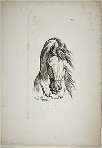 Detail of Horse's Head, Enlarged to Triple Size, Norman Royal Guard, No. 1 by Carle Vernet