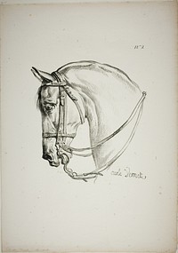 Detail of Horse's Head, Enlarged to Triple Size, Norman Royal Guard, No. 2 by Carle Vernet