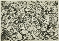 Vine Ornament with Birds by Martin Schongauer