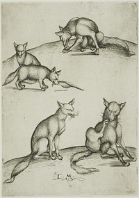 The Five Foxes by Israhel van Meckenem, the younger