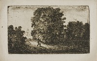 Trees Bordering a Road by John Clerk of Eldin