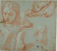 Sketches of Head, Hands, Shoulder, and Feet by Style of Agostino Masucci