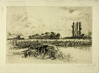 A Water Meadow by Francis Seymour Haden