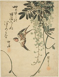 Swallow and wisteria by Utagawa Hiroshige