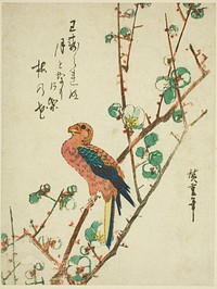 Parrot on plum tree by Utagawa Hiroshige