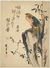 Golden pheasant by Utagawa Hiroshige