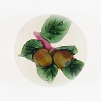 Paperweight by Compagnie de Saint Louis