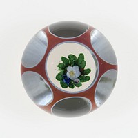 Paperweight by Compagnie de Saint Louis