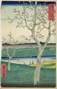 The Outskirts of Koshigaya in Musashi Province (Musashi Koshigaya zai), from the series "Thirty-six Views of Mount Fuji (Fuji sanjurokkei)" by Utagawa Hiroshige