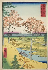 Yuhi Hill at Meguro in the Eastern Capital (Toto Meguro Yuhigaoka), from the series "Thirty-six Views of Mount Fuji (Fuji sanjurokkei)" by Utagawa Hiroshige