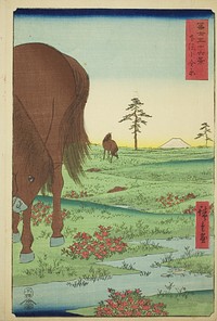 Kogane Plain in Shimosa Province (Shimosa Koganehara), from the series "Thirty-six Views of Mount Fuji (Fuji sanjurokkei)" by Utagawa Hiroshige