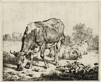 A Cow and Three Sheep by Adriaen van de Velde