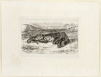 Tiger Resting in the Desert by Eugène Delacroix