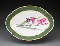 Dish by Davenport Potteries and Porcelain Factories