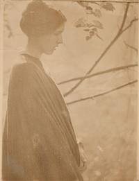 Sunlight by Clarence H. White