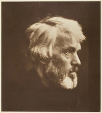 Thomas Carlyle by Julia Margaret Cameron