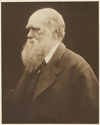 Charles Darwin by Julia Margaret Cameron